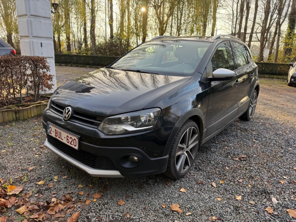 Volkswagen Polo 2012 achetée à Dinant par CarSwitch24
